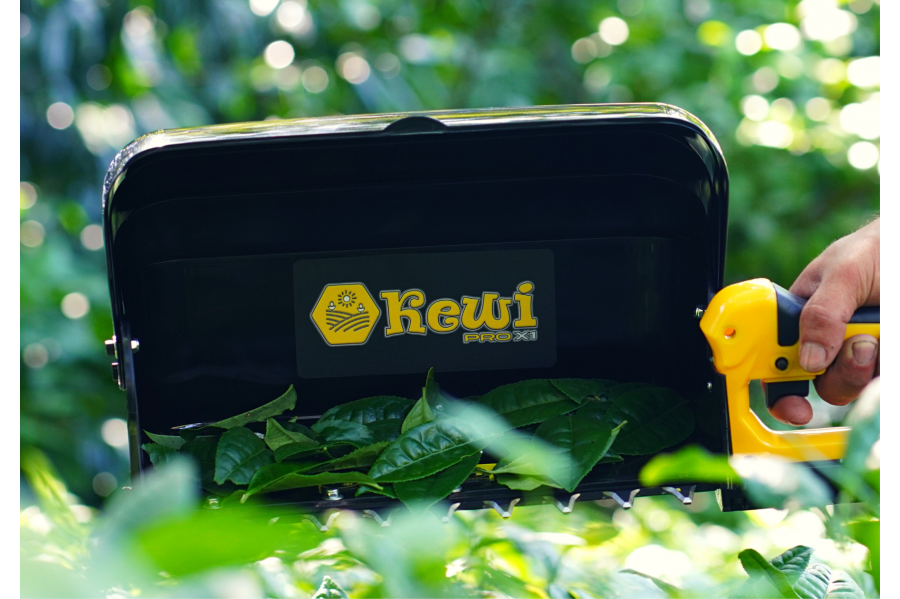 Kewi: Yenilikçi Çay Toplama Makineleriyle Tarımsal Dönüşüm