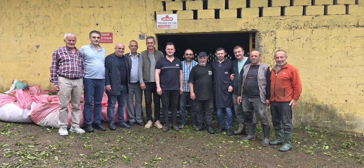 Tersane Çay Fabrikası Müdürü Yılmaz Güzel ile birlikte Yukarı Fıçıcılar Çay Alım Yeri'ni ziyaret ettik.