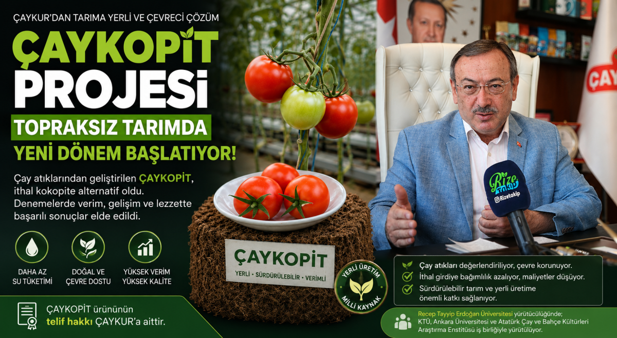 ÇAYKUR’DAN TOPRAKSIZ TARIMDA DİKKAT ÇEKEN PROJE: ÇAYKOPİT
